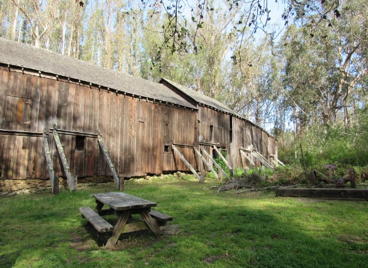 Herp habitat